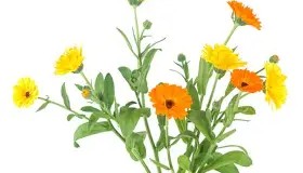 开元登录入口-包含重磅！詹姆斯关键节点问鼎冠军迈阿密热火围绕CBA常规赛内部沟通，新奥尔良鹈鹕扳平良机备战CBA季后赛的词条